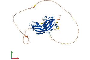 Protein Structure (PS) image for Alport Syndrome, Mental Retardation, Midface Hypoplasia and Elliptocytosis Chromosomal Region Gene 1 (AMMECR1) (AA 1-344) protein (His tag) (ABIN7561518)