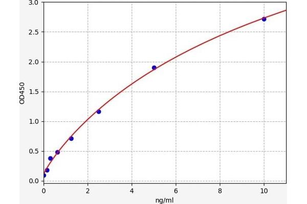 TNFRSF13C ELISA Kit