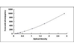 Typical standard curve (BMP5 ELISA Kit)