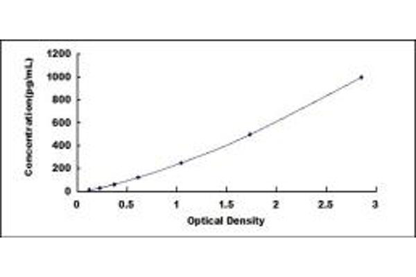 BMP5 ELISA Kit