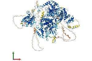 AlphaFold protein structure predicition of Mouse Recombinant Dhx57 Protein, UniprotID Q6P5D3
