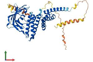 Protein Structure (PS) image for FK506 Binding Protein 8, 38kDa (FKBP8) (AA 1-402) protein (His tag) (ABIN7562324)