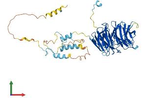 Protein Structure (PS) image for Fizzy/cell Division Cycle 20 Related 1 (FZR1) (AA 1-493) protein (His tag) (ABIN7565188)