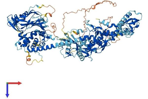 USP48 Protein (AA 1-1035) (His tag)
