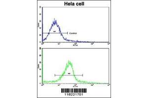 Figure 3. (Glutaredoxin 2 Antikörper  (C-Term))