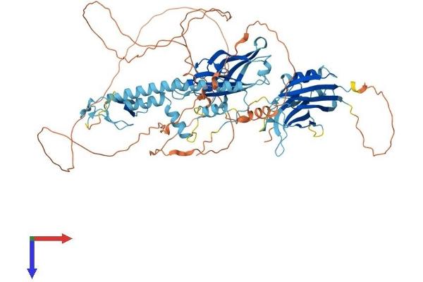 SYTL5 Protein (AA 1-753) (His tag)