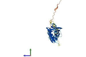 Protein Structure (PS) image for Potassium Channel Regulator (KCNRG) (AA 1-264) protein (His tag) (ABIN7557012)