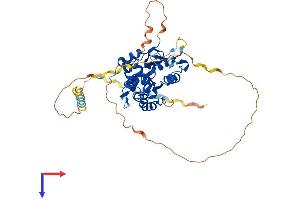 HS3ST4 Protein (AA 1-456) (His tag)