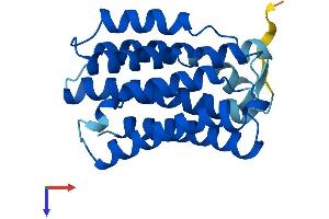 KDELR3 Protein (AA 1-214) (His tag)
