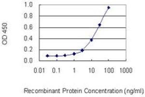 Detection limit for recombinant GST tagged PPP4C is 0. (PPP4C Antikörper  (AA 1-307))