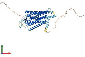 Protein Structure (PS) image for Neuropeptide Y Receptor Y1 (NPY1R) (AA 1-382) protein (His tag) (ABIN7556880)