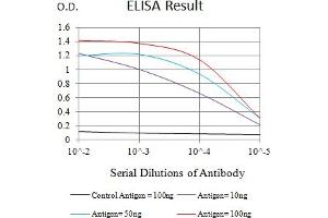 Black line: Control Antigen (100 ng),Purple line: Antigen (10 ng), Blue line: Antigen (50 ng), Red line:Antigen (100 ng) (RAB27B Antikörper  (AA 2-218))