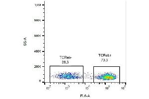 Surface staining of human peripheral blood with anti-TCR alpha/beta (IP26) biotin. (TCR alpha/beta Antikörper  (Biotin))