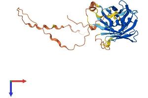 PLSCR3 Protein (AA 1-295) (His tag)