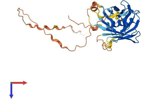 PLSCR3 Protein (AA 1-295) (His tag)