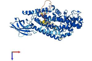 ALOXE3 Protein (AA 1-711) (His tag)