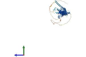 Protein Structure (PS) image for Protein Regulator of Cytokinesis 1 (PRC1) (AA 1-620) protein (His tag) (ABIN7555039)