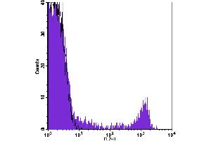 Flow Cytometry (FACS) image for anti-CD8 (CD8) antibody (ABIN2145444) (CD8 Antikörper)
