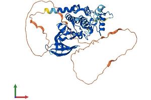 Protein Structure (PS) image for MOK Protein Kinase (MOK) (AA 1-419) protein (His tag) (ABIN7549473)