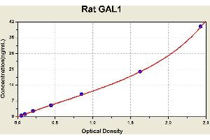 Diagramm of the ELISA kit to detect Rat GAL1with the optical density on the x-axis and the concentration on the y-axis. (LGALS1/Galectin 1 ELISA Kit)