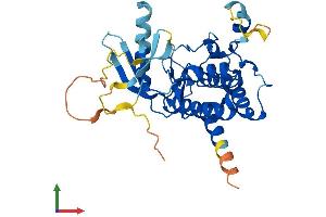 Protein Structure (PS) image for PDZ Binding Kinase (PBK) (AA 1-330) protein (His tag) (ABIN7561572)