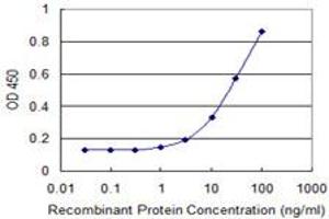 Detection limit for recombinant GST tagged FDPS is 1 ng/ml as a capture antibody. (FDPS Antikörper  (AA 320-419))