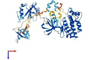 SRMS Protein (AA 1-488) (His tag)