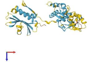 NPRL2 Protein (AA 1-380) (His tag)