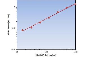 Chemokine (C-C Motif) Ligand 3 (CCL3) ELISA Kit