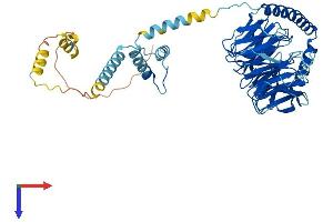 PRPF4 Protein (AA 1-521) (His tag)