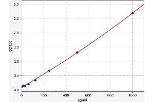 Monoamine Oxidase B (MAOB) ELISA Kit