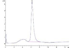 The purity of Human LILRA2/CD85h/ILT1 Protein is greater than 95 % as determined by SEC-HPLC. (LILRA2 Protein (AA 24-449) (His-Avi Tag))