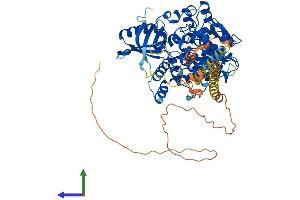 Protein Structure (PS) image for Myotubularin Related Protein 8 (MTMR8) (AA 1-704) protein (His tag) (ABIN7549601)