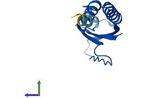 Protein Structure (PS) image for Dynein, Light Chain, Tctex-Type 1 (DYNLT1) (AA 1-113) protein (His tag) (ABIN7553747)