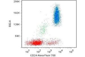 Surface staining of human peripheral blood cells with CD24 monoclonal antibody, clone SN3  Alexa Fluor® 700.