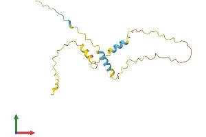 AlphaFold protein structure predicition of Human Recombinant C20orf144 Protein, UniprotID Q9BQM9