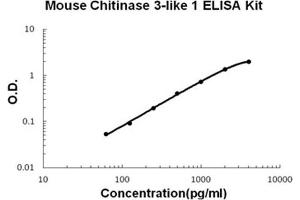 Mouse Chitinase 3-like 1/YKL-40 PicoKine ELISA Kit standard curve