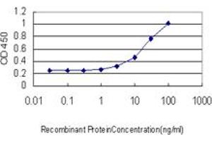 Detection limit for recombinant GST tagged PAX7 is approximately 3ng/ml as a capture antibody. (PAX7 Antikörper  (AA 411-520))