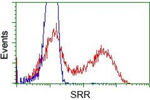 HEK293T cells transfected with either pCMV6-ENTRY SRR (RC210359) (Red) or empty vector control plasmid (Blue) were immunostained with anti-SRR mouse monoclonal (ABIN2453693), and then analyzed by flow cytometry. (SRR Antikörper)