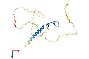 BCL7B Protein (AA 1-202) (His tag)