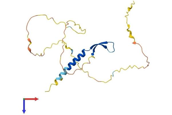 BCL7B Protein (AA 1-202) (His tag)
