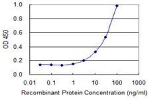 Detection limit for recombinant GST tagged PPARA is 1 ng/ml as a capture antibody. (PPARA Antikörper  (AA 1-258))