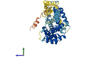 Protein Structure (PS) image for Interferon-Induced Protein with Tetratricopeptide Repeats 3 (IFIT3) (AA 1-403) protein (His tag) (ABIN7563986)
