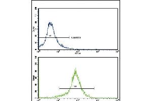 Flow cytometric analysis of K562 cells using SOD3 Antibody (N-term)(bottom histogram) compared to a negative control cell (top histogram). (SOD3 Antikörper  (N-Term))