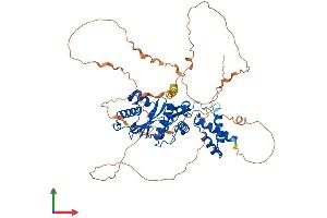 Protein Structure (PS) image for SUMO/sentrin Specific Peptidase 3 (SENP3) (AA 1-568) protein (His tag) (ABIN7565020)