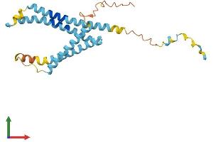 Protein Structure (PS) image for Lysosomal Protein Transmembrane 4 alpha (LAPTM4A) (AA 1-233) protein (His tag) (ABIN7557639)