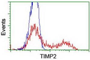HEK293T cells transfected with either RC209796 overexpress plasmid (Red) or empty vector control plasmid (Blue) were immunostained by anti-TIMP2 antibody (ABIN2455372), and then analyzed by flow cytometry. (TIMP2 Antikörper)