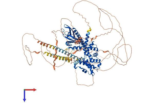 IQSEC1 Protein (AA 1-961) (His tag)