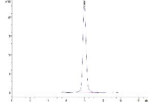 Size-exclusion chromatography-High Pressure Liquid Chromatography (SEC-HPLC) image for Poliovirus Receptor (PVR) (AA 29-348) protein (His tag) (ABIN7274094)