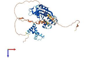 MAEL Protein (AA 1-434) (His tag)
